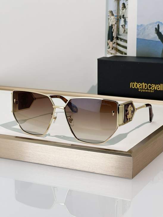 Picture of Roberto Cavalli Sunglasses _SKUfw74777892fw